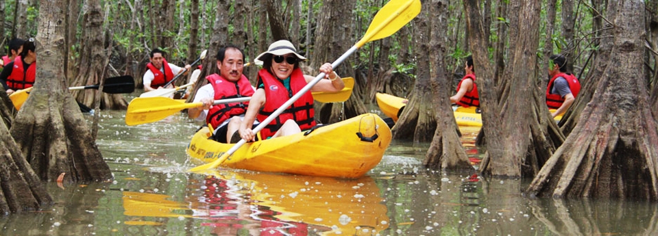 mangrove-tour-in-manuel-antonio