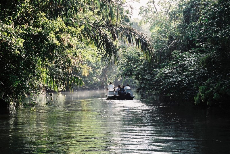 7 Natural Wonders of Costa Rica - #5 Tortuguero Canals