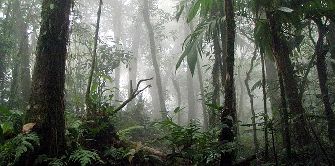 la-amistad-international-park-costa-rica