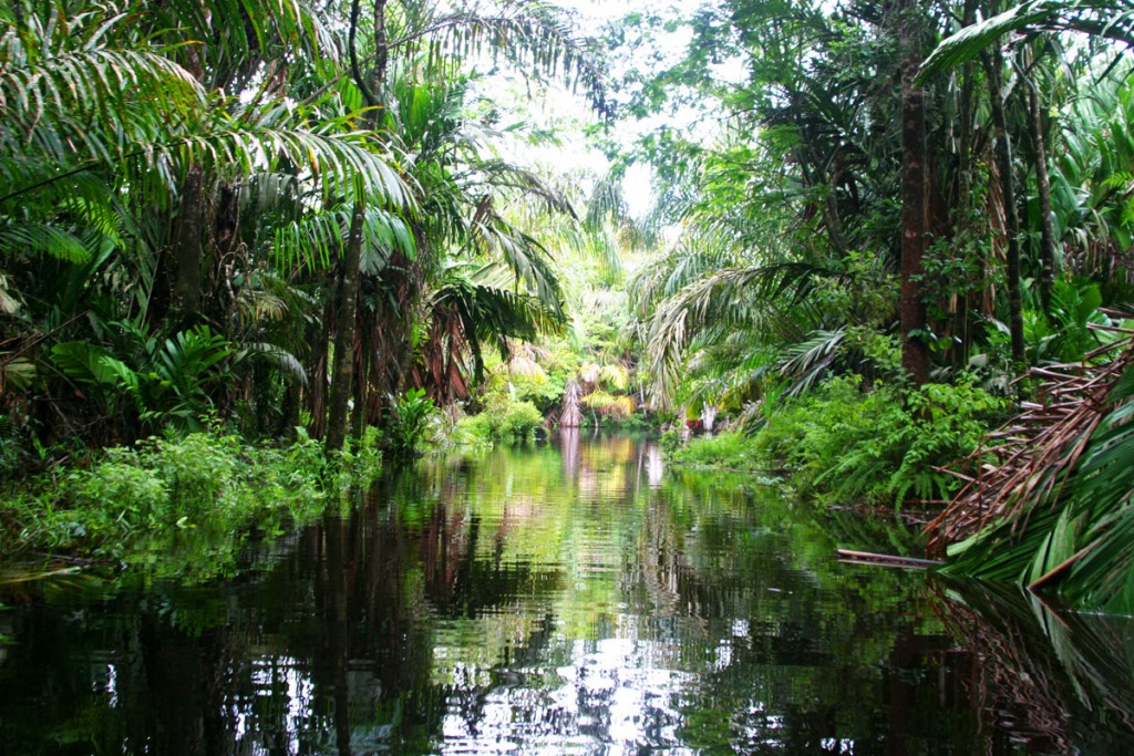 canals-tortuguero-costa-rica