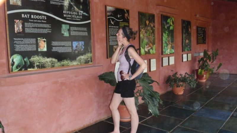 Bat-Jungle-Tour-Monteverde-Tour-Operators-Costa-Rica-01