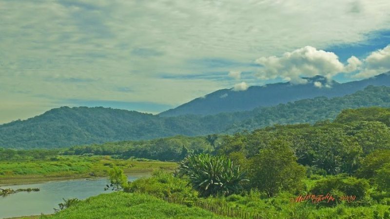 Carara-National-Park-Costa-Rica-1