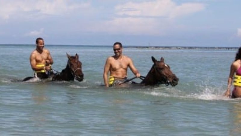 Caribbean-Horseback-Riding-Costa-Rica-01