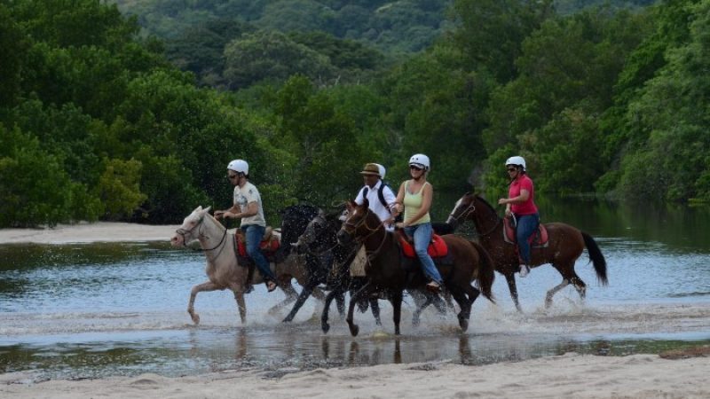 Caribbean-Horseback-Riding-Costa-Rica-03