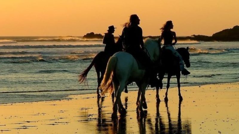 Caribbean-Horseback-Riding-Costa-Rica-05