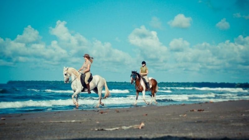 Caribbean-Horseback-Riding-Costa-Rica-10