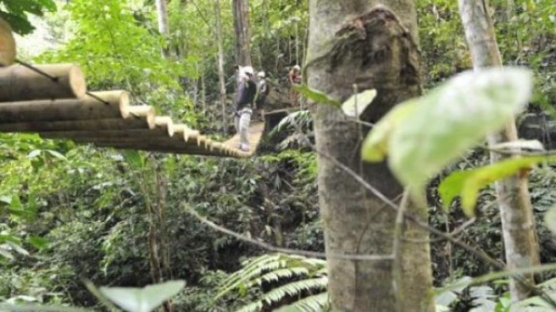 Full-Day-Jungle-Adventure-Puerto-Viejo-Costa-Rica-1