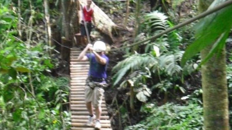 Full-Day-Jungle-Adventure-Puerto-Viejo-Costa-Rica-4
