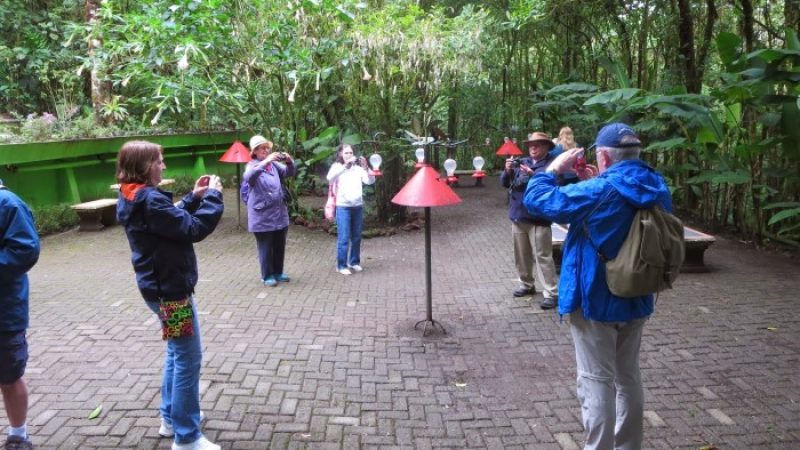 Hummingbird-Garden-Monteverde-Costa-Rica-05