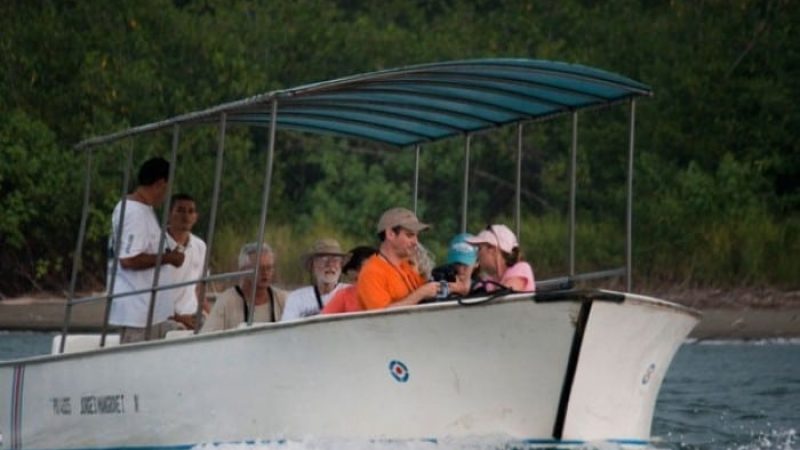 Mangrove-tours-Costa-Rica-4