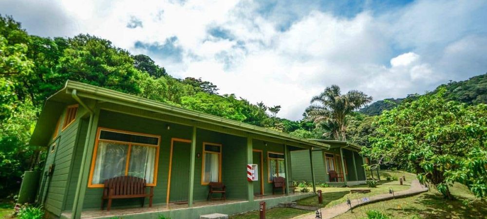 Monteverde Cloud Forest Lodge 3