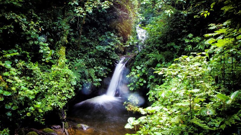 Monteverde-Cloud-Forest-Tour-Tour-Operators-Costa-Rica-01