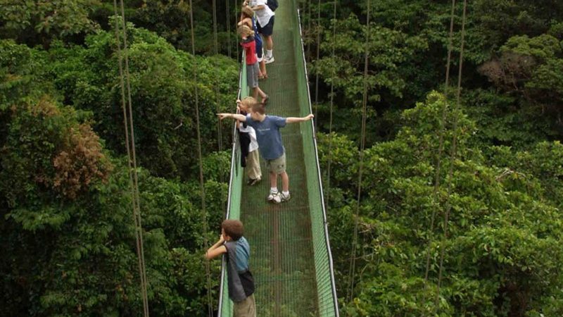 Monteverde-Cloud-Forest-Tour-Tour-Operators-Costa-Rica-02