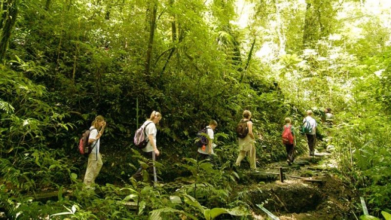Monteverde-Cloud-Forest-Tour-Tour-Operators-Costa-Rica-03