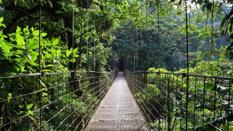 Monteverde-Cloud-Forest-Tour-Tour-Operators-Costa-Rica-04