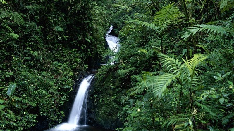 Monteverde-Cloud-Forest-Tour-Tour-Operators-Costa-Rica-05