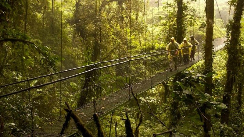 Monteverde-Cloud-Forest-Tour-Tour-Operators-Costa-Rica-09