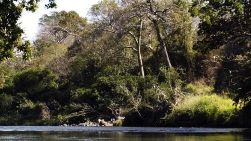 Safari-Float-Tour-on-Corobici-River-Costa-Rica-2