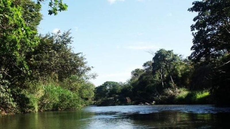 Safari-Float-Tour-on-Corobici-River-Costa-Rica-3