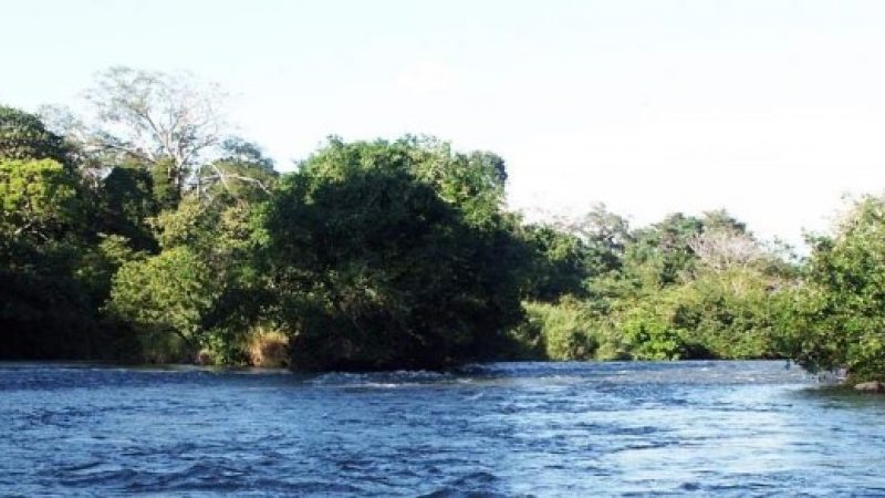 Safari-Float-Tour-on-Corobici-River-Costa-Rica-5